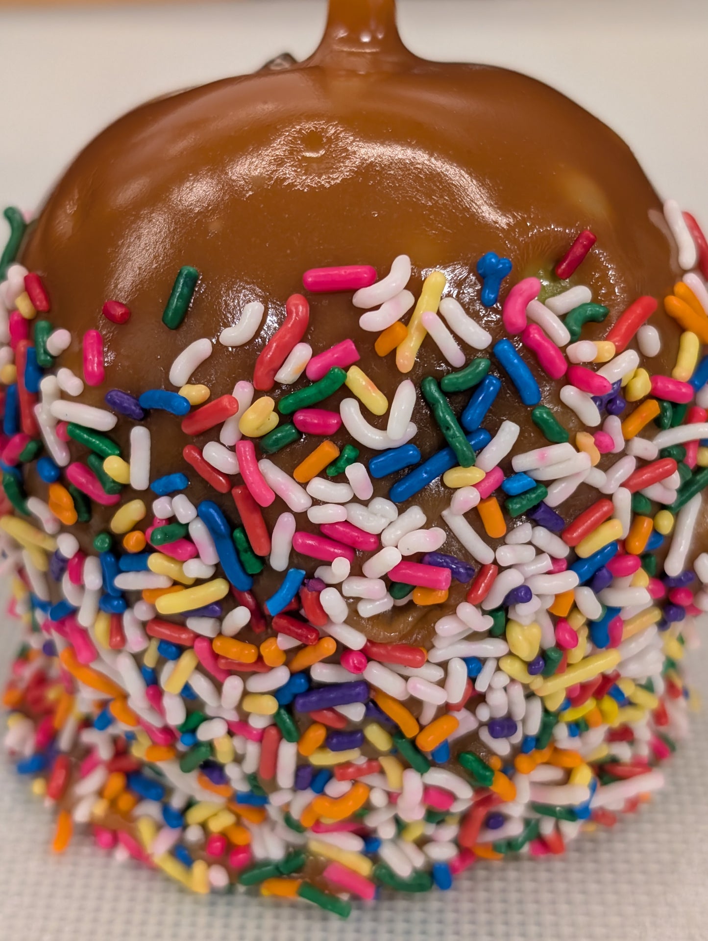 Caramel Apple (assorted)